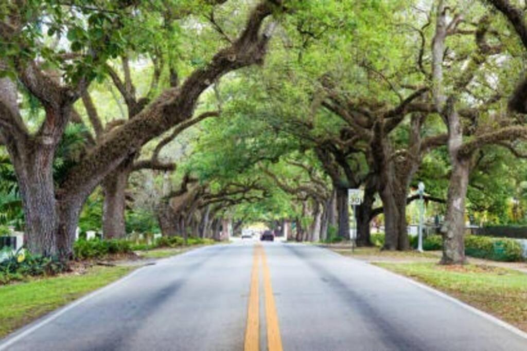 My Lovely Home In Miami 15 Minutes From The Beach Экстерьер фото